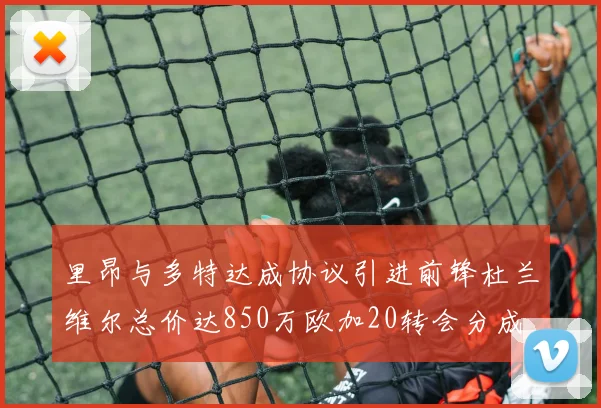里昂与多特达成协议引进前锋杜兰维尔总价达850万欧加20转会分成