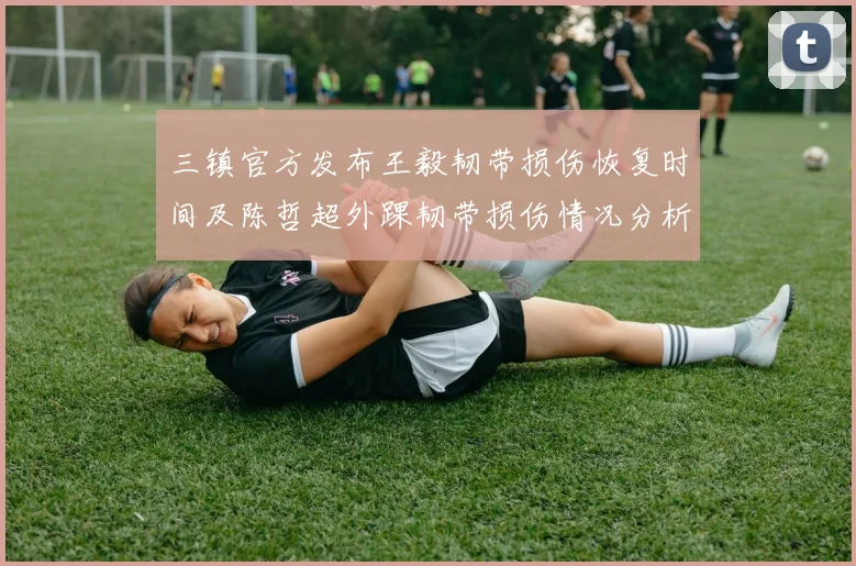 三镇官方发布王毅韧带损伤恢复时间及陈哲超外踝韧带损伤情况分析